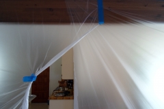 SAM_0230
