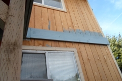 SAM_0368